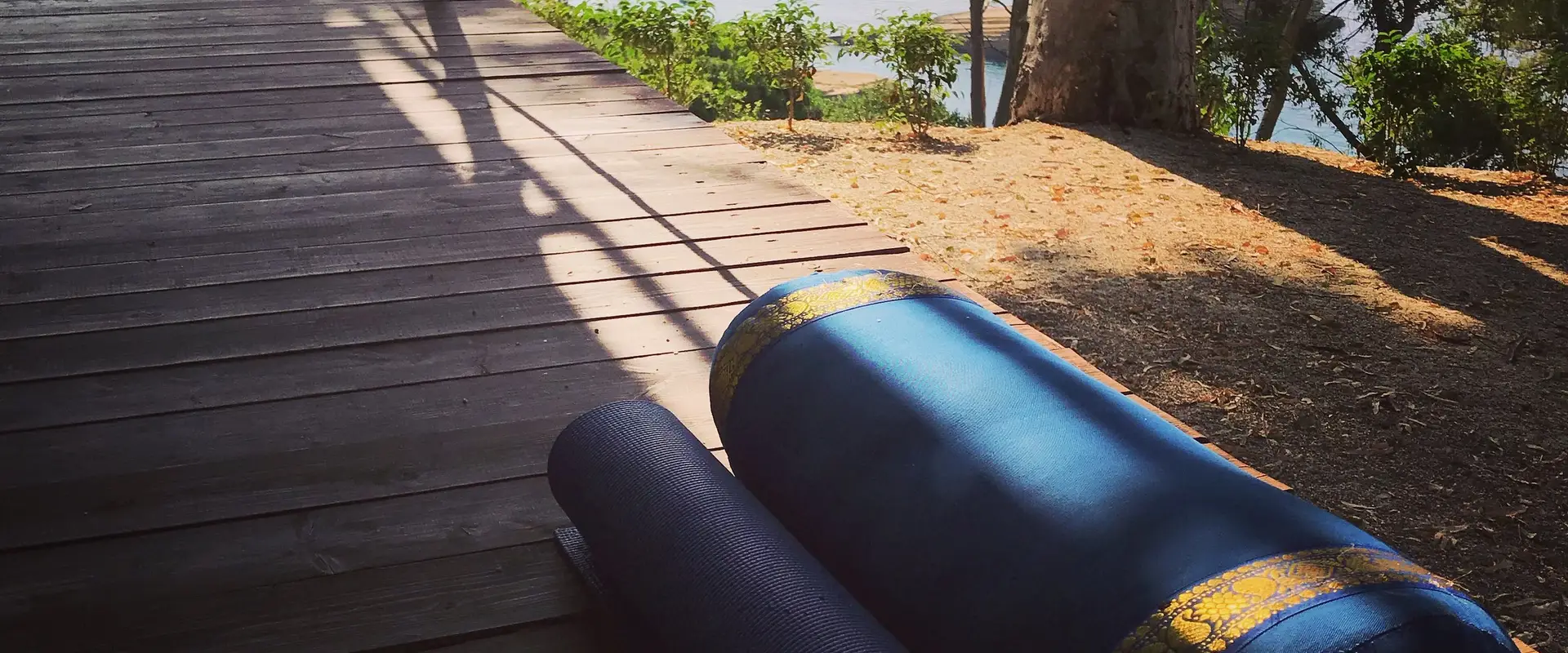 Yoga with Amy