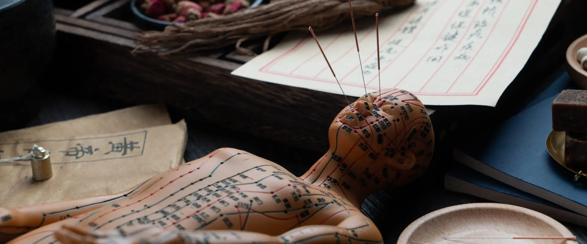 acupuncteur aix en provence - MTC - Schewin Arnaud