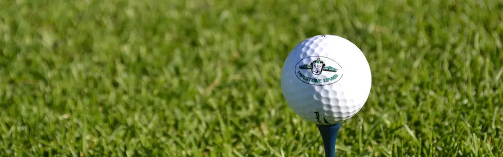 Pipestone Links Golf Course and RV Park near Millet, AB
