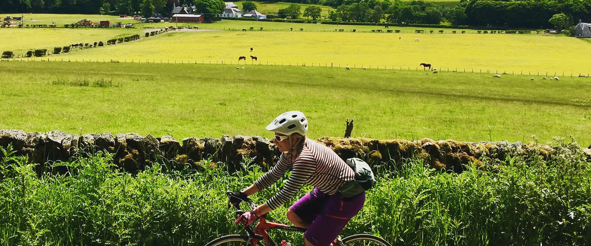 Bike Valley Trails