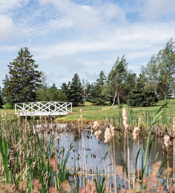 Darnley Greens & The Red Zone