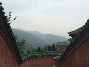 VO DAO TAI CHI
