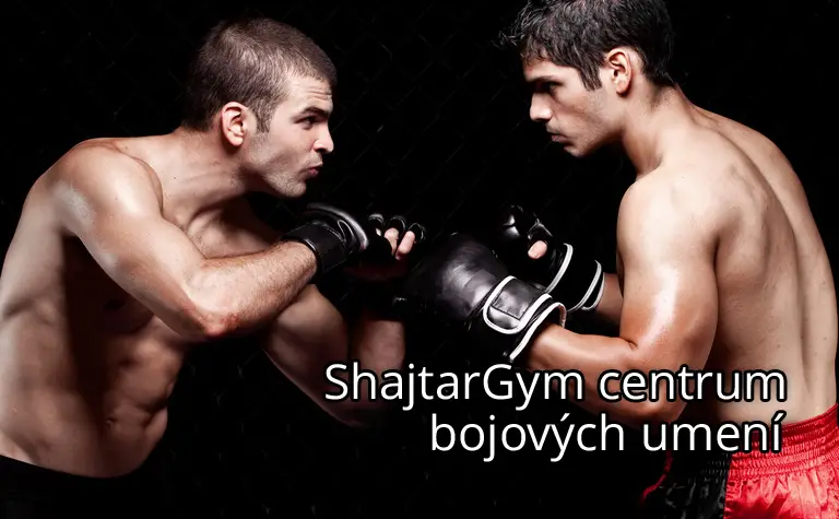 SHAJTAR GYM