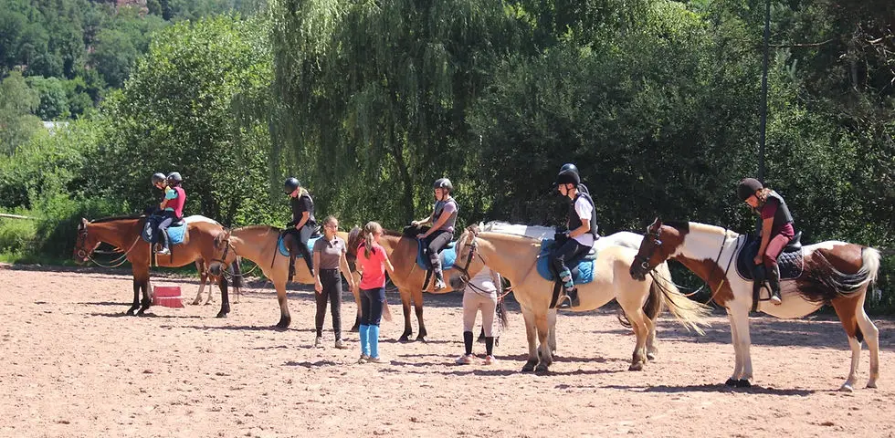 Kauffer Equitation
