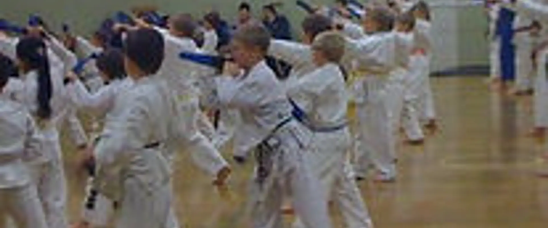 Zenshin Karate & Martial Arts - Tipton