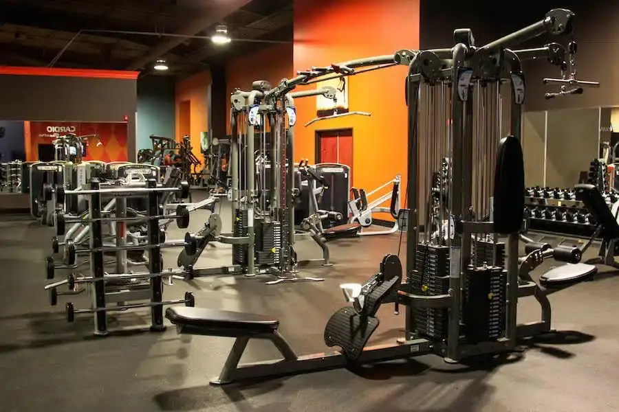 Fitness Evolution