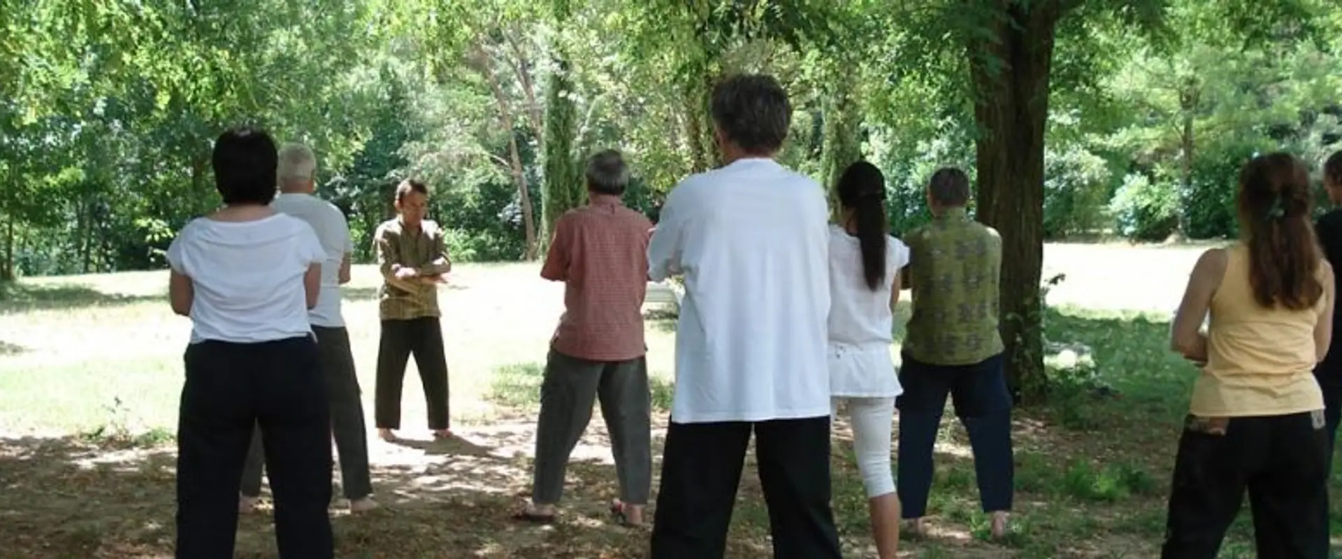 Cours de Qi Gong et de Taï Chi Quan en plein air