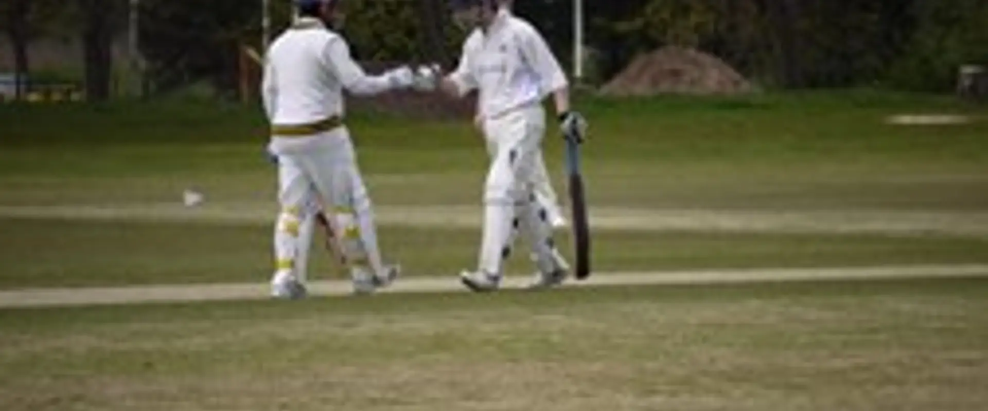 ASI Gordonians Cricket Club