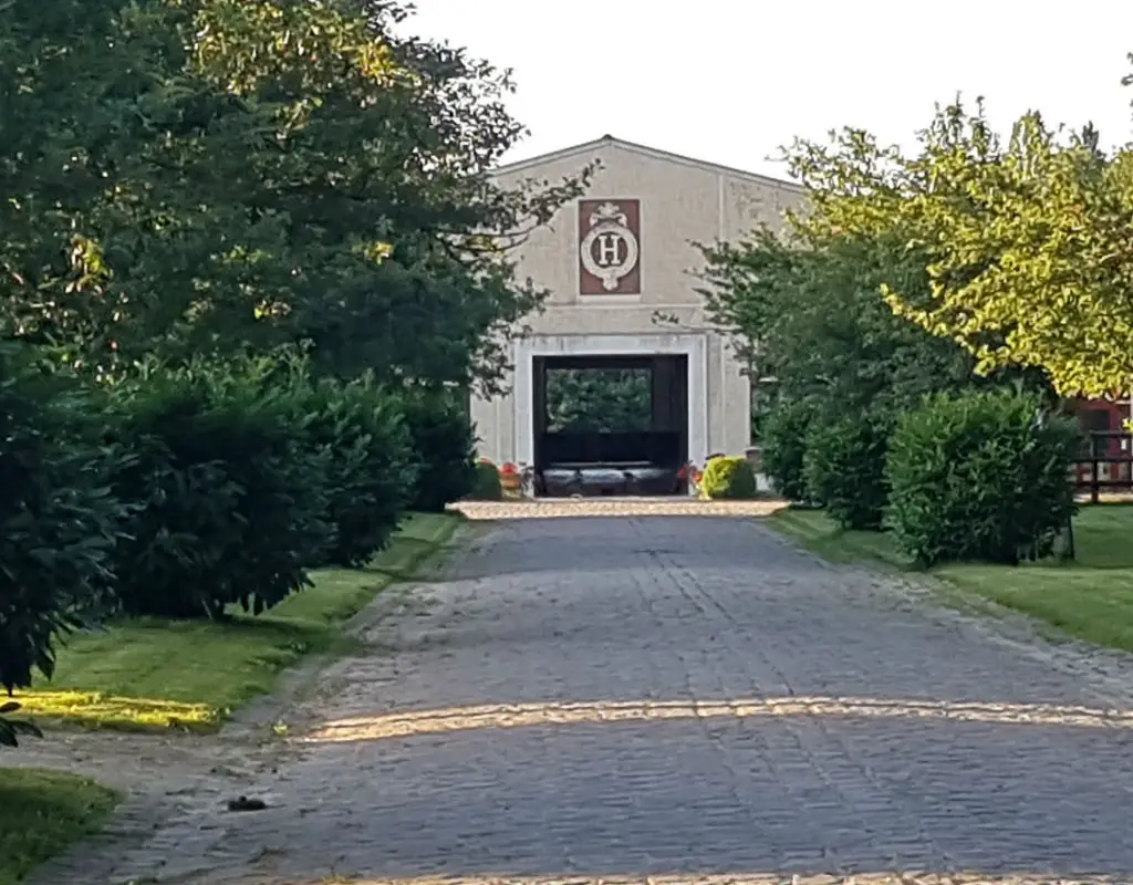 Comité Départemental d'Equitation des Yvelines