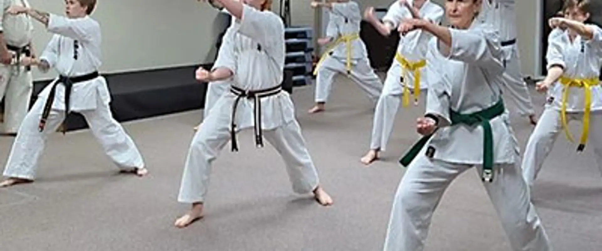 Alpine Dojo