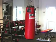 Craig Harper Fitness
