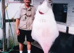 Codfather Charters Ltd
