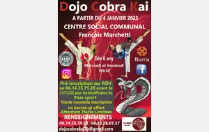 Dojo Cobra Kai Karaté