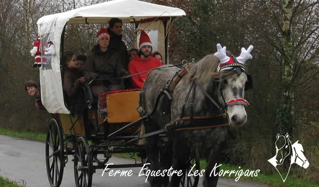 Horse Farm Les Korrigans