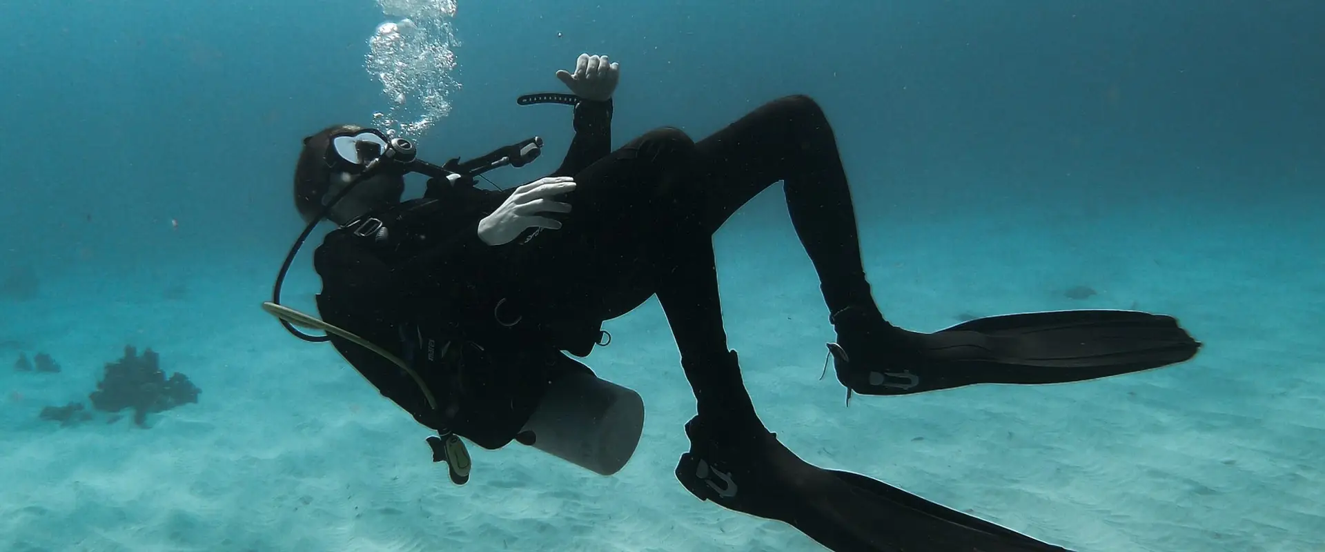Whitianga Dive Charters