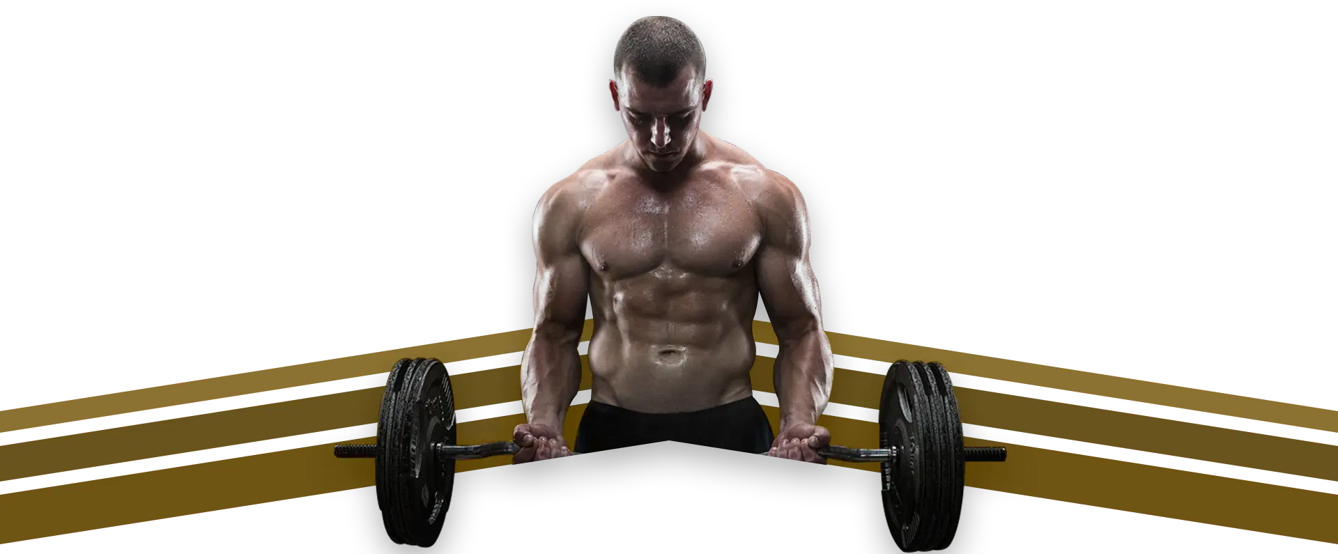 Aimfit Gym Sector 14