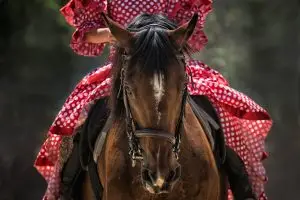 Welkin Way Equestrian Centre