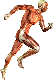 Armstrong Physiotherapy Clinic