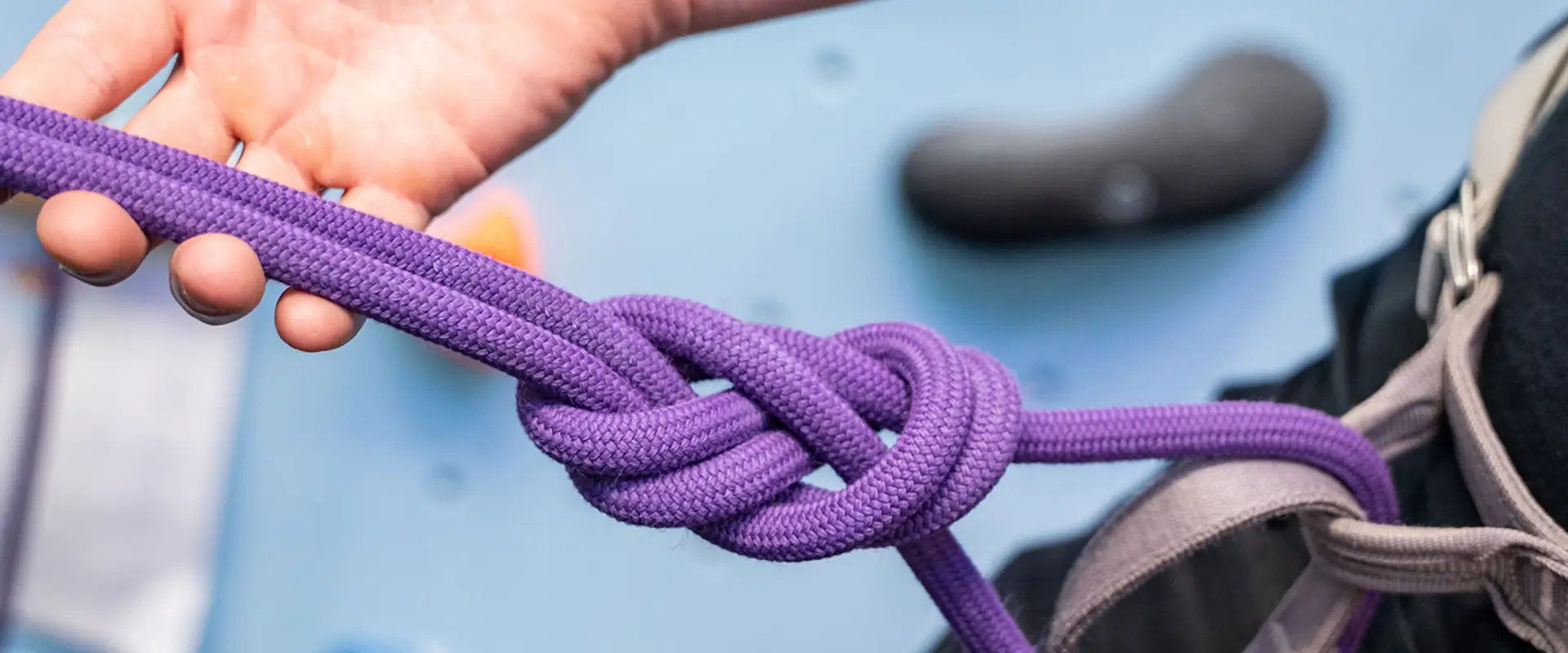 Jurassic Ridge Climbing Centre