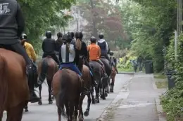Riding Centre Le Comte