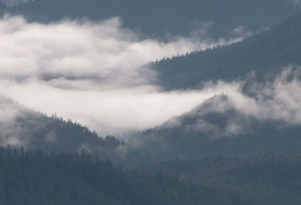 Viking Gym