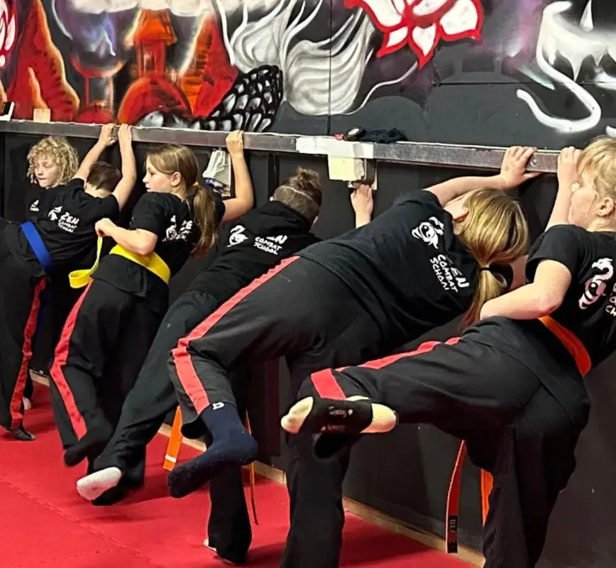 Zen Combat School