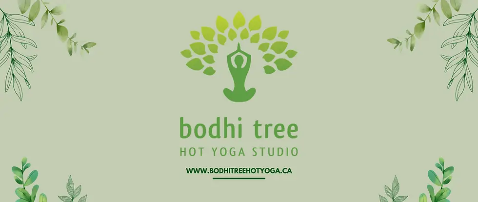 Bodhi Tree Hot Yoga Studio