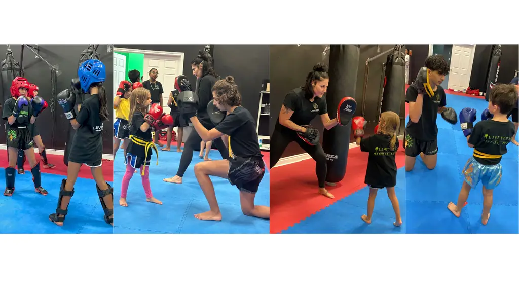 Limitless Martial Arts
