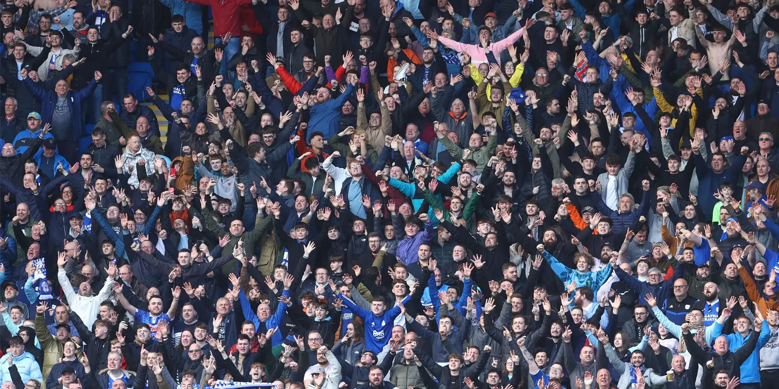 Bluebirds Fans F.C