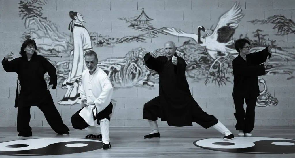 Toulouse Balma Arts Martiaux