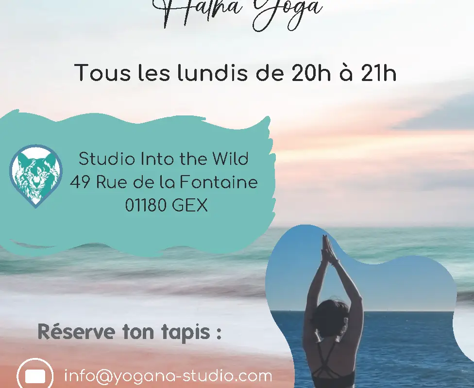 Studio Into The Wild