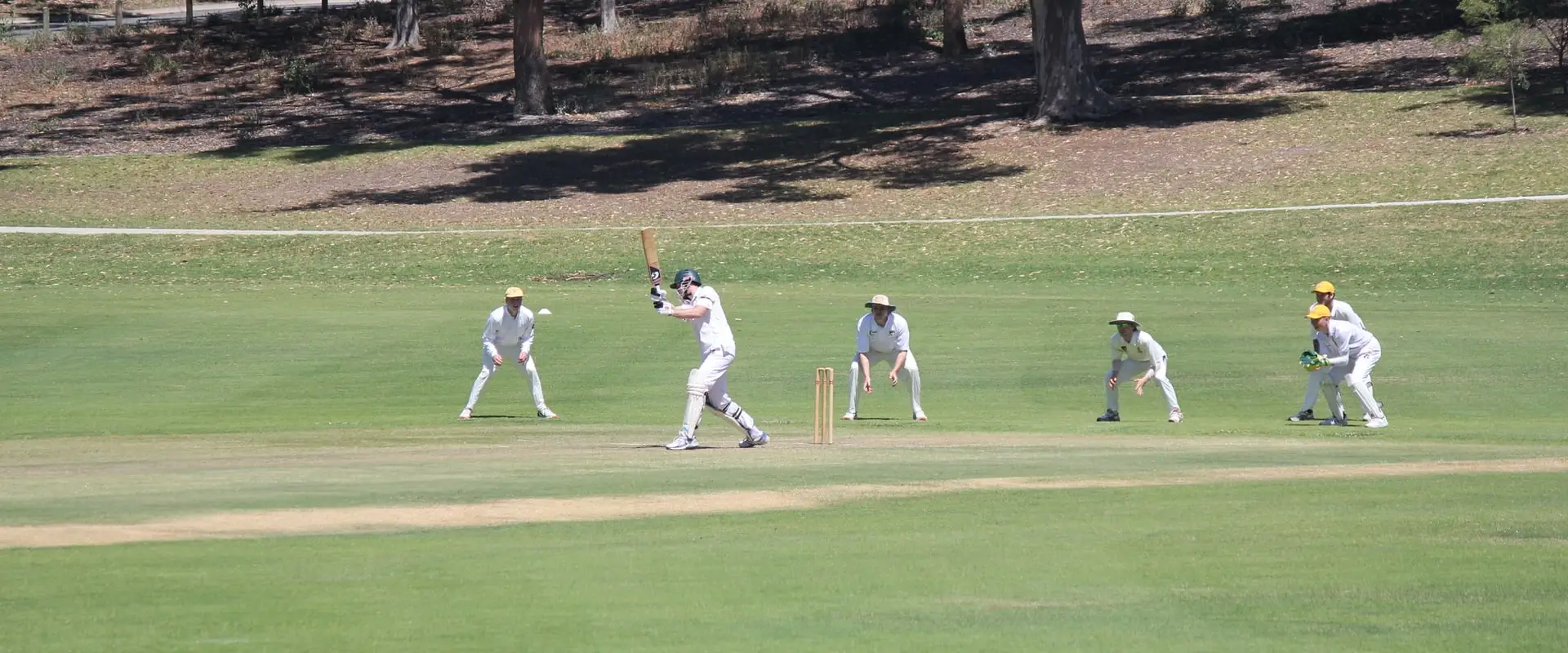 Whitfords & District Senior Cricket Club