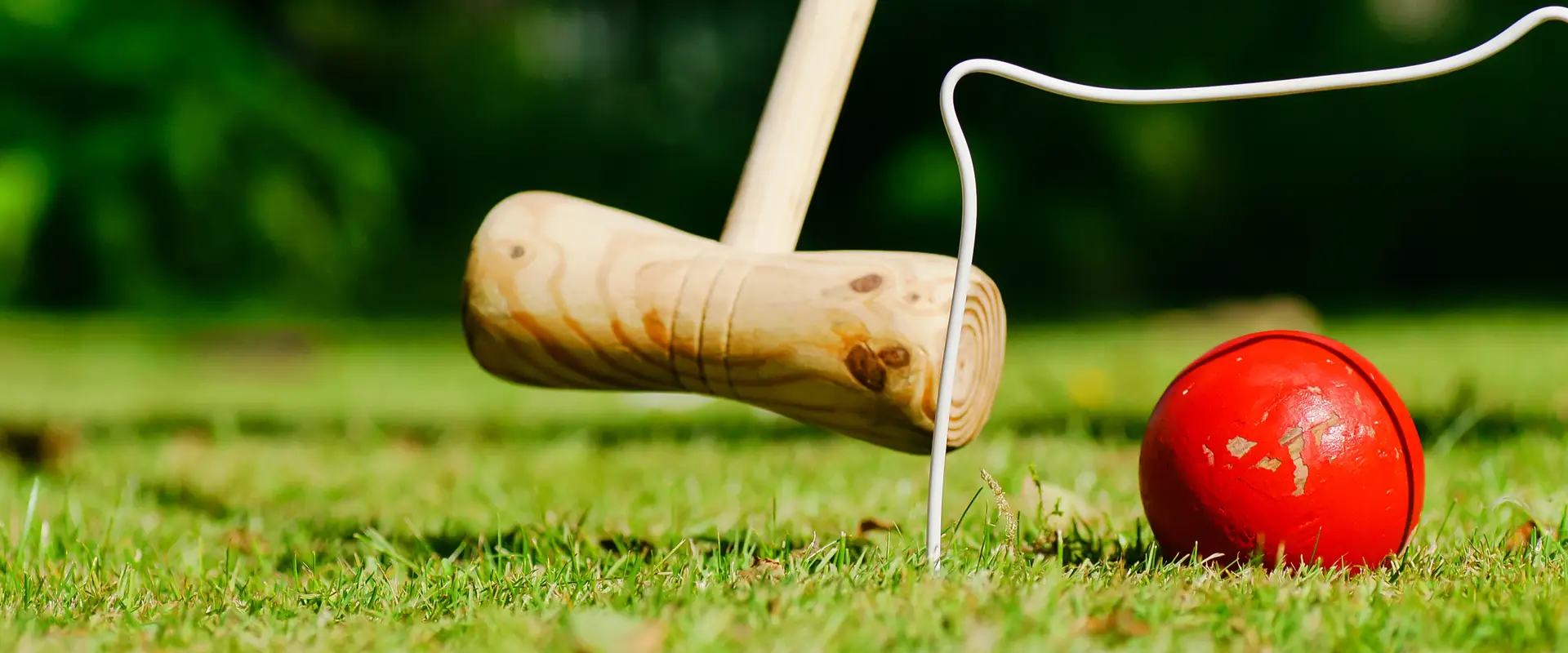 Croquet NSW