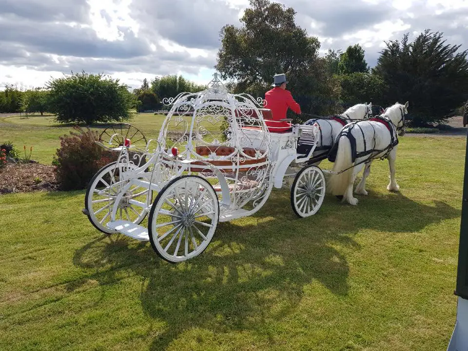 Cobb and Co Horse Drawn Carriages