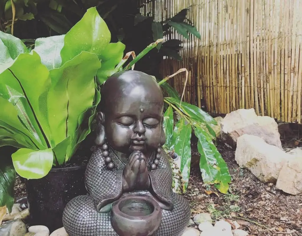 Noosa Hinterland Yoga