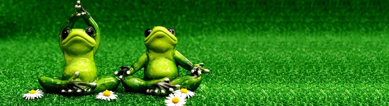 Yoga'ttitude