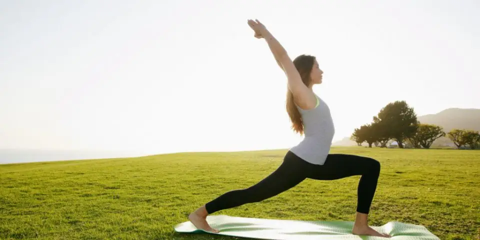 Sous Mon Arbre Yoga Sur Mesure Entre Lille Et Dunkerque.