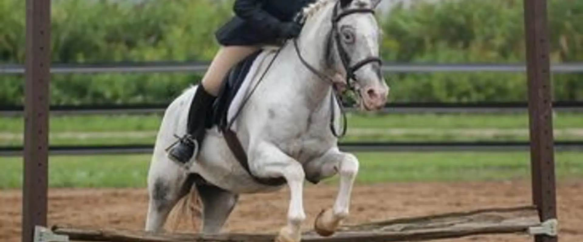 Maplegrove Equestrian Centre