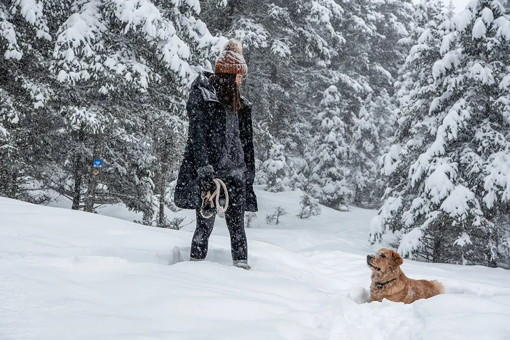 Harper Mountain Ski and Snowboard