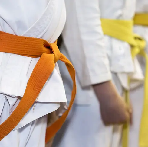 Neuro Defence Martial Arts Based Program