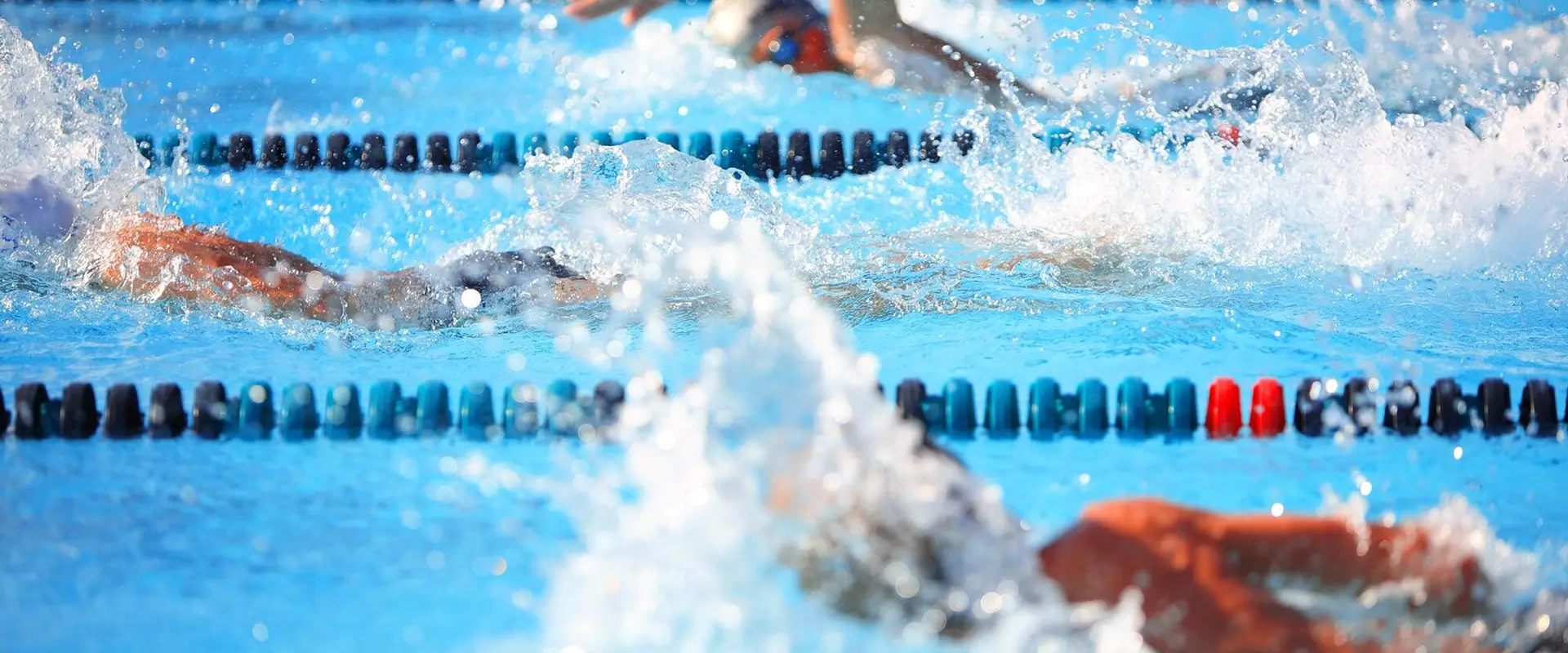 Calgary P-Too Learn-to-Swim Association