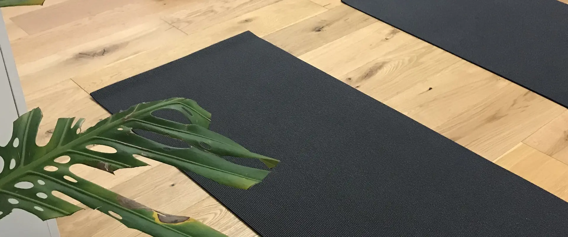 Chelsea Heights Yoga