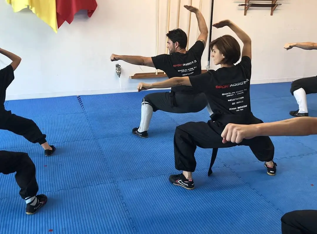 Zhengti kung fu