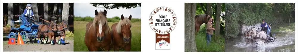 ATTELAGE PASSION