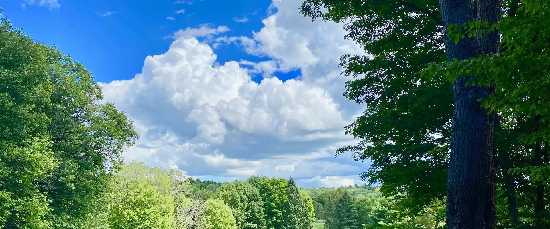 The Fairways at Kirrie Glen