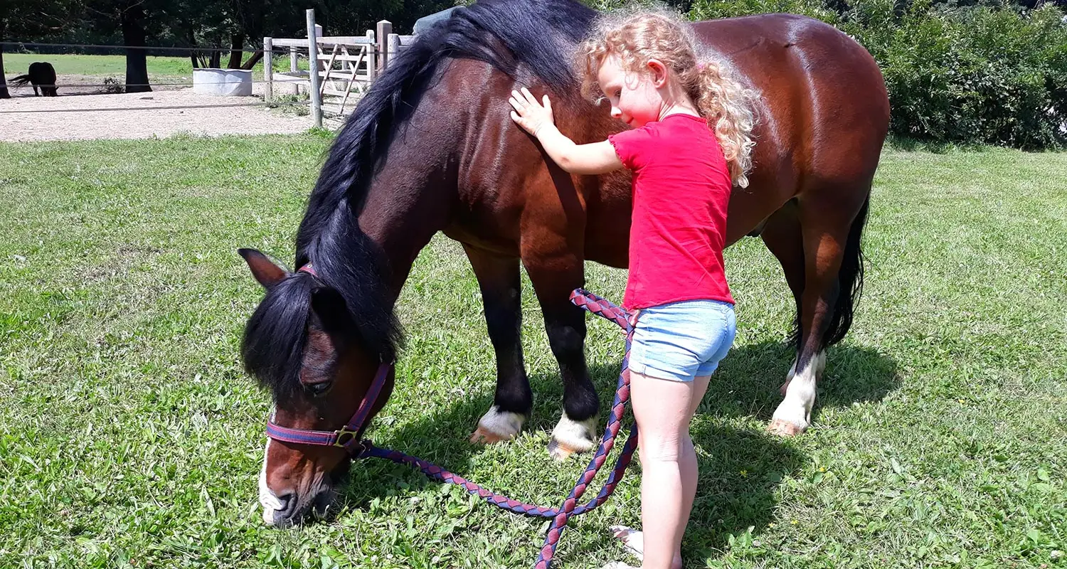 Les Ecuries Du Rosey, Poney-Club