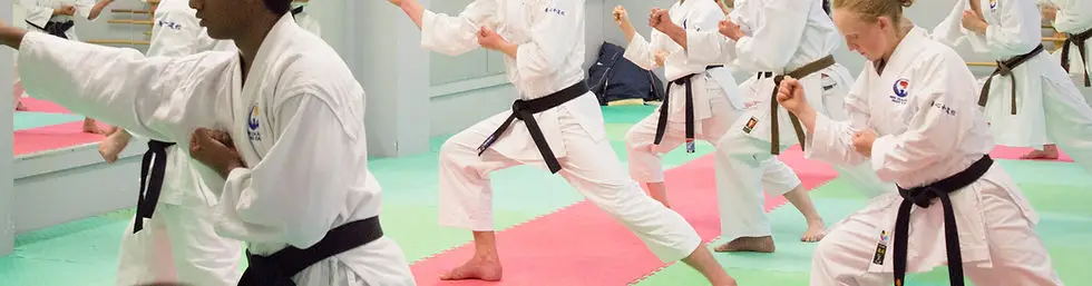 Hamilton Wado-Kai Karate Club inc - Yoshin Wadokan Dojo