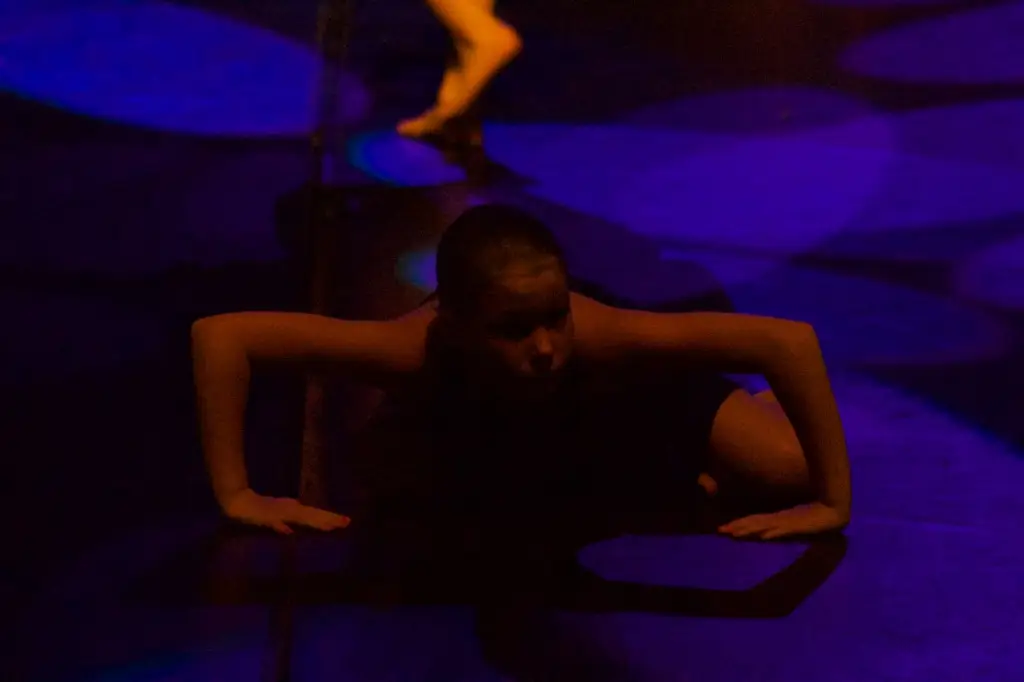 danse un jour danse toujours