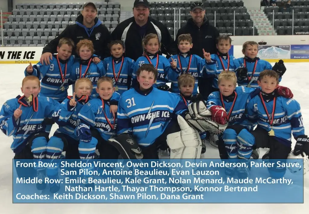 Own The Ice Hockey