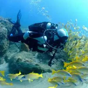 Welsh Diving